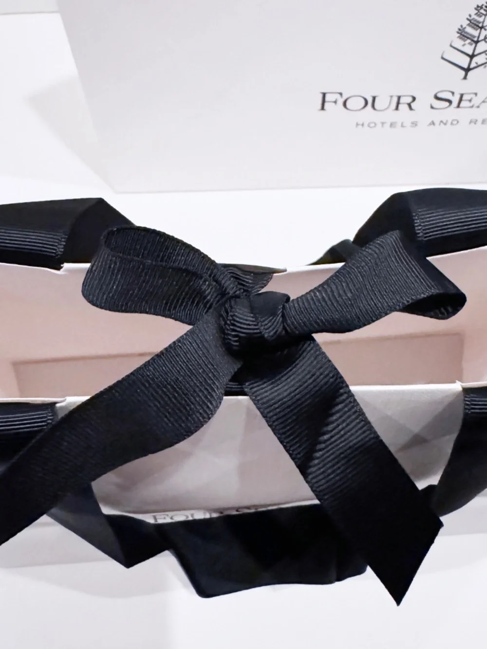 Four Seasons Hotels & Resorts Gift Bags Set of 2